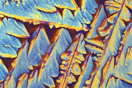 Billede af krystaller af Oxytocin, som er et peptidhormon, som også kaldes kærlighedshormonet eller kramme-hormonet og blandt andet bruges til ve-stimulering under fødsler.