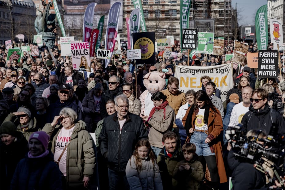 Pattegrises høje dødelighed og svinenes kritisable levevilkår var i fokus ved søndagens svinedemo.