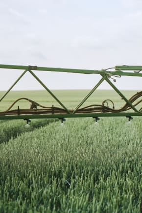 Kampen om jorden: Under landmændenes marker vil vandselskaber have ro til at dyrke drikkevandet