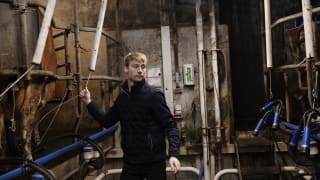 For drikkevandet og sundhedens skyld: Økologisk omstilling nu!