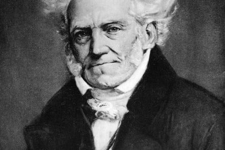 Arthur Schopenhauer.