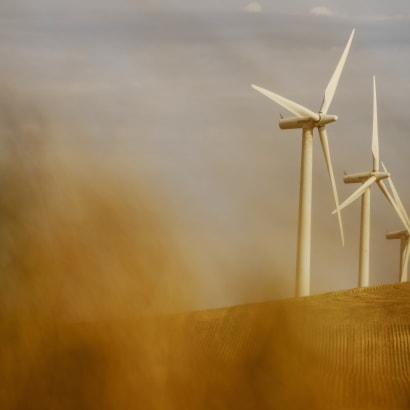 Danmark har bevist, at et energisystem på vedvarende energi fungerer. Lad os bygge videre på det, mener Greenpeace.