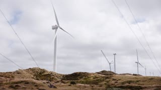 Bred aftale skal sikre flere solceller og vindmøller. Det er godt