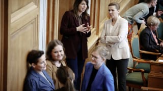 Socialdemokratiets milliongave til Alternativet udstiller problemet med penge i politik