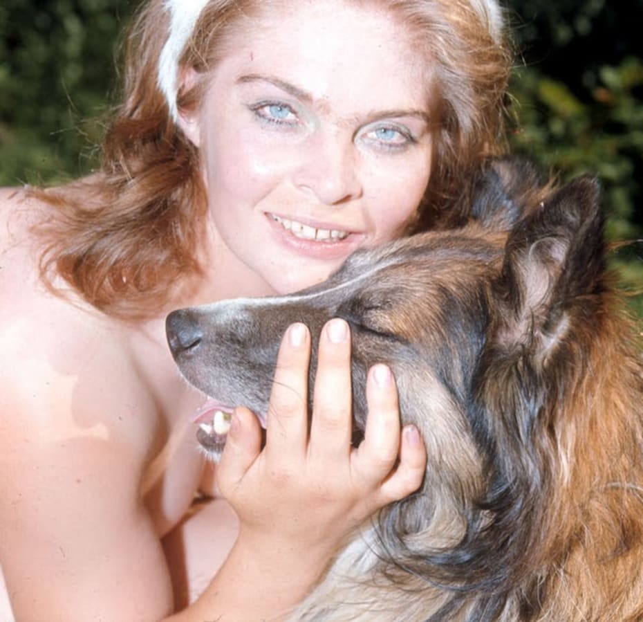 bodil jensen porn 
