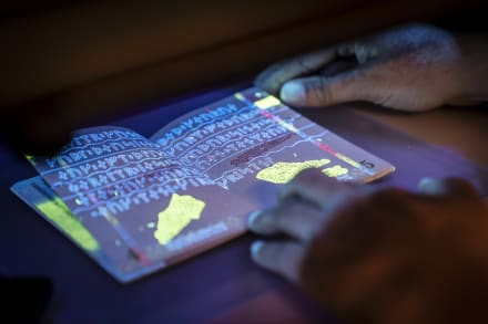 Ifølge Flygtningekonventionen er det straffrit at anvende for eksempel et falsk pas, hvis man fra hjemlandet rejser direkte til et land for at søge asyl. Det til trods har mange udlændinge, der senere har fået asyl, oplevet først at blive idømt fængselsstraf samt udvisning i seks år for dokumentfalsk.