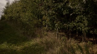 Børsens Grønne Gazelle illustrerer erhvervslivets blinde vinkel