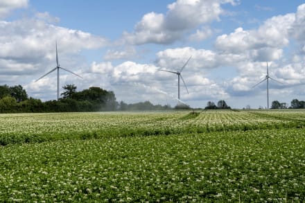 Miljøstyrelsen forbød mandag 23 PFAS-baserede sprøjtemidler, fordi de danner stoffet TFA, der kan ende i grundvandet, og det kan komme til at ramme de danske kartoffelavlere hårdt.