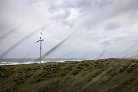 En række brancheorganisationer kalder det vigtigt for den grønne omstilling, at de tre regeringspartier har fremsat et forslag om at lade danskerne slippe – næsten helt – for at betale elafgift i de kommende to år. Men spørger man økonomerne, har de svært ved at få øje på det grønne i forslaget.