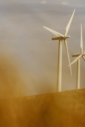 Danmark har bevist, at et energisystem på vedvarende energi fungerer. Lad os bygge videre på det, mener Greenpeace.