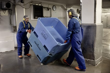 Rejer er Grønlands mest indbringende råvare, men selv om fiskeriet generelt går godt i Grønland, mangler der penge i landskassen.