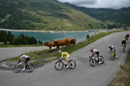 Efter at have afprøvet teknologien på Tour de France, skal AI nu også bruges til at tekste Vild med dans, Go’ Morgen Danmark og Go’ Aften Live.