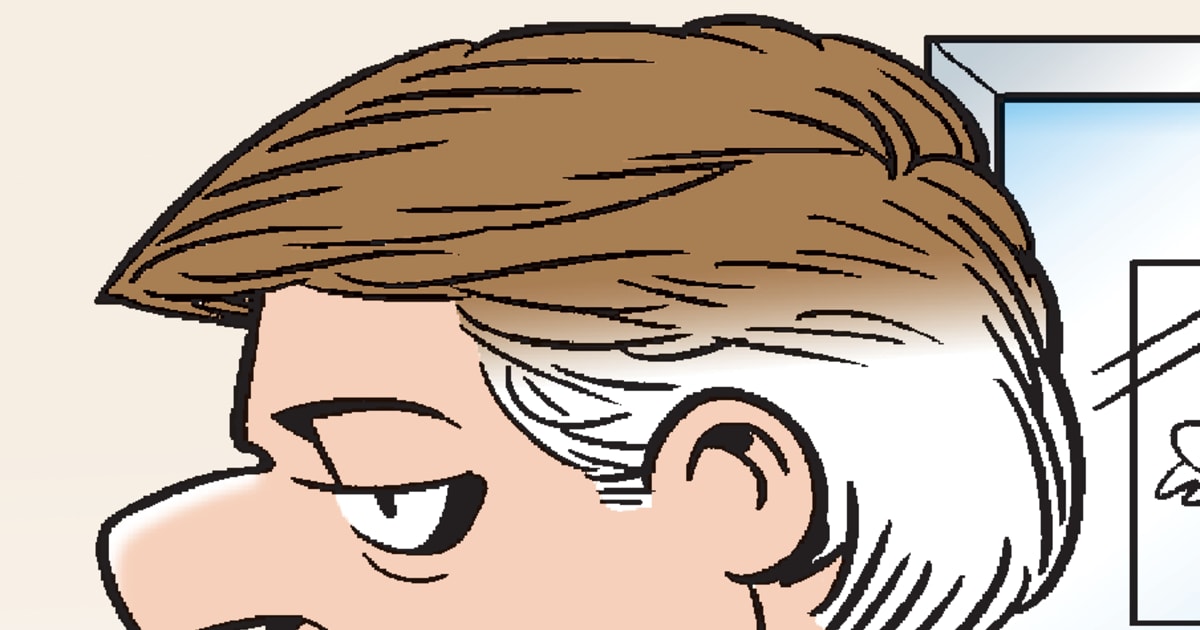Serie: Doonesbury | Information