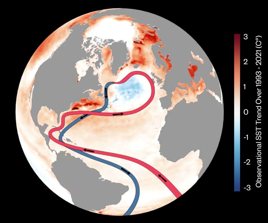 Forsimplet oversigt over AMOC-havstrømmene koblet til ændringer i havoverfladetemperaturen mellem 1993 og 2021. Flere forskere anser kølingen mod nord – den blå plet på billedet – som et tegn på svækkelse af AMOC.