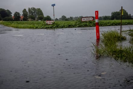 Stadigvæk i dag kører vi gennem et sølandskab, når vi tager de vante små veje op til hovedvejen. Der er stadig lagt pumper ud, som pumper mellemstore søer væk fra markernes fordybninger, og kornet, som faktisk er modent, slået fladt ned.