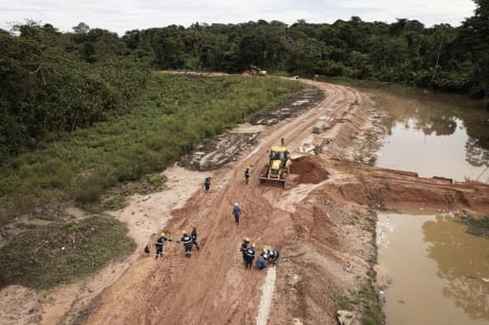 ’Ødelæggelsens lov’ vil gøre det nemmere at få godkendt et gigantisk olieprojekt i Amazonas’ flodudmunding nær byen Bélem, hvor COP30 skal afholdes i midten af november.