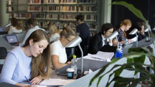 Fire måneders udveksling har lært mig mere om AI end tre år på CBS