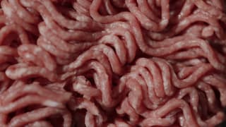 En hakkebøf til frokost er ikke uskyldig – det er et spørgsmål om et andet væsens død