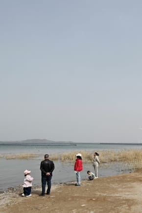 Vindmøller langs Weishui-floden i Kinas nordlige Hebei-provins. For første gang er det væksten i Kinas grønne energisektor, der udløser et fald i landets CO₂-udledninger.