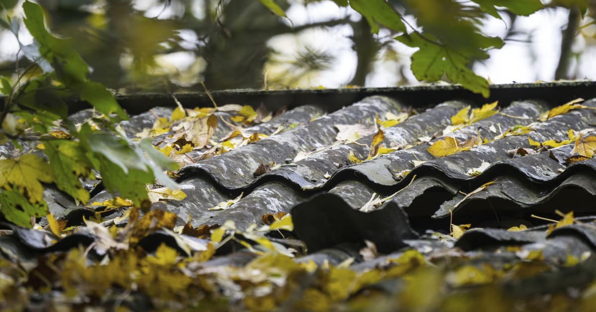 Asbestsager får politisk flertal til at skride ind: »Det vil sende chokbølger gennem virksomhederne«