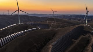 I en kulsort tid vækker Kina lidt grønt håb