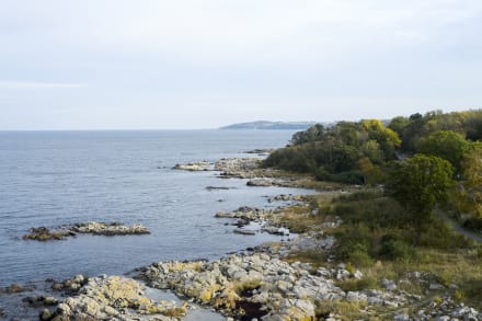 Siden 2019 har en gruppe bornholmere kæmpet for at få lov at opføre en borgerejet havvindmøllepark sydøst for øen.