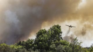 FN om klimaet: Grænsen var 1,5 grader – det er nu for sent