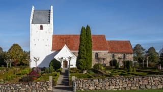 Mange religionskritikere læser Bibelen mere bogstaveligt end de fleste kristne